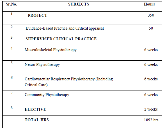 Internship (Integrated Practice) structure chart